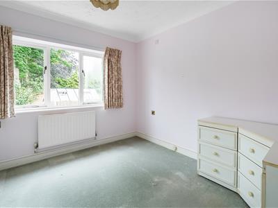 Picture 11